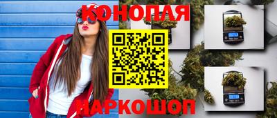 сатива Краснознаменск