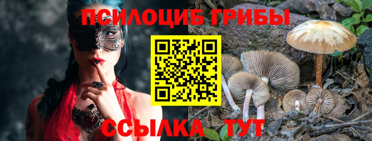 Псилоцибиновые грибы прущие грибы Кинель