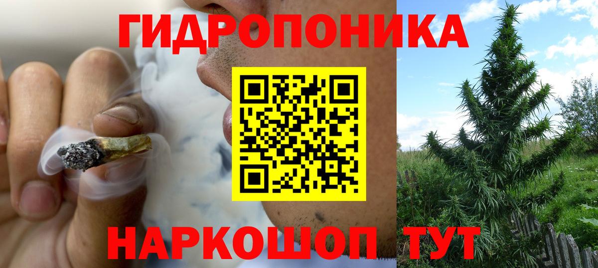 Бошки Шишки семена  Шишки марихуана LSD WEED  Кинель  Бошки марихуана Amnesia  Марихуана семена  Вход с VPN 